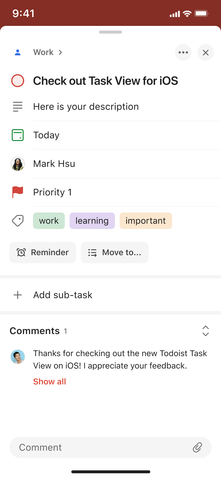 Use the task view to manage tasks in Todoist – Todoist Help