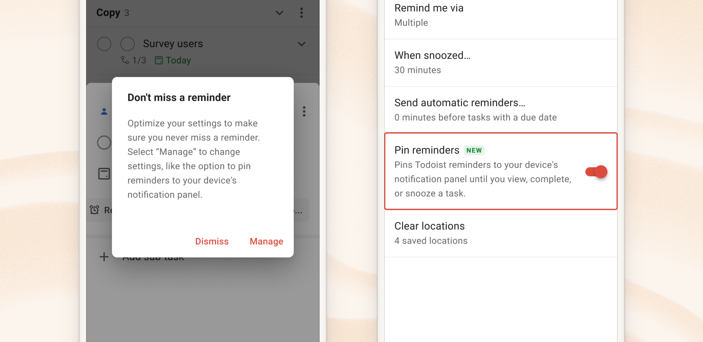 todoist-whats-new-Pinned-reminders.png
